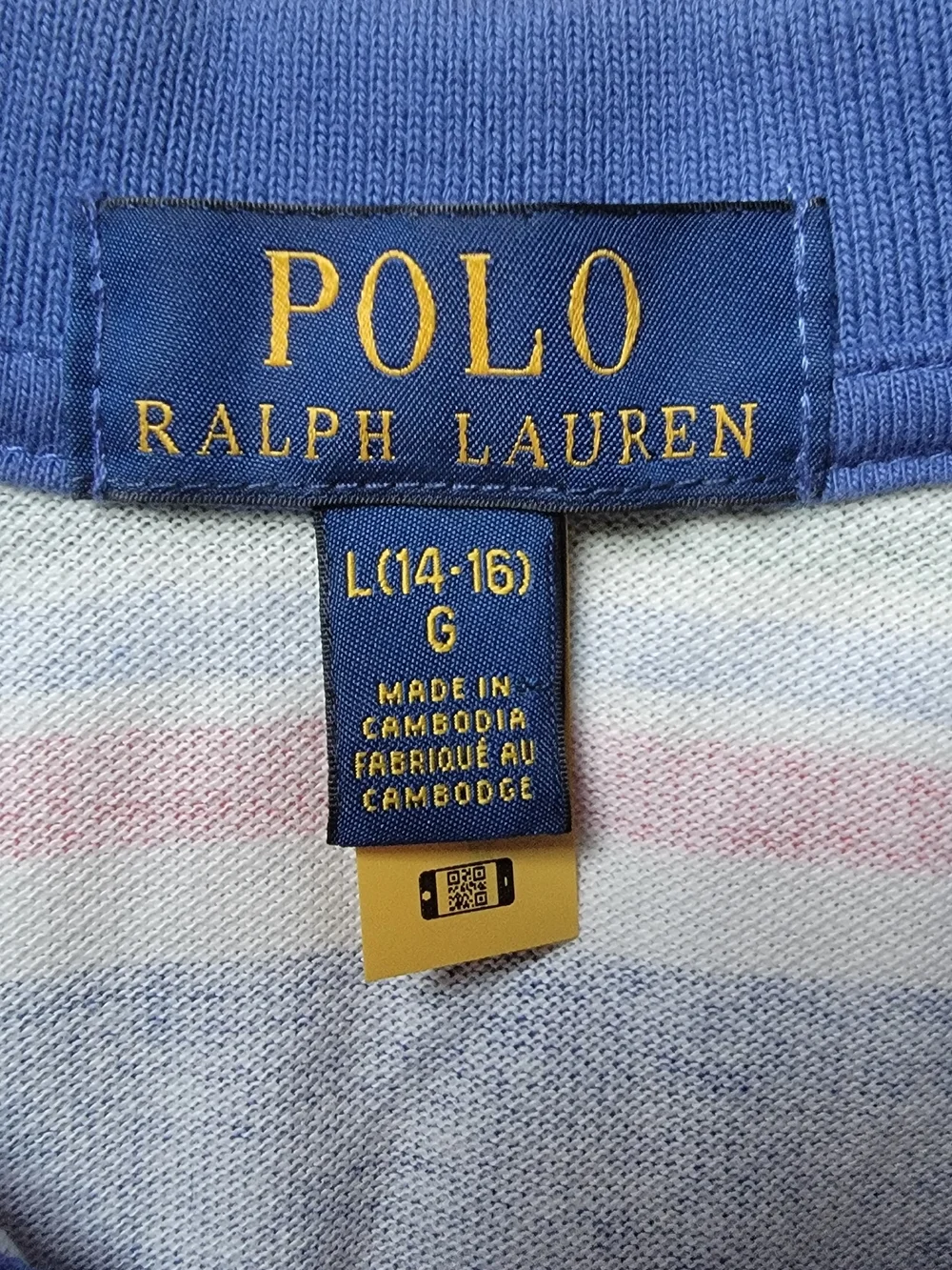 Polo by Ralph Lauren Boys' Multicolor Striped Polo Shirt - Blue/Green/Red